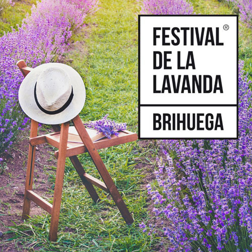 Festival de la Lavanda