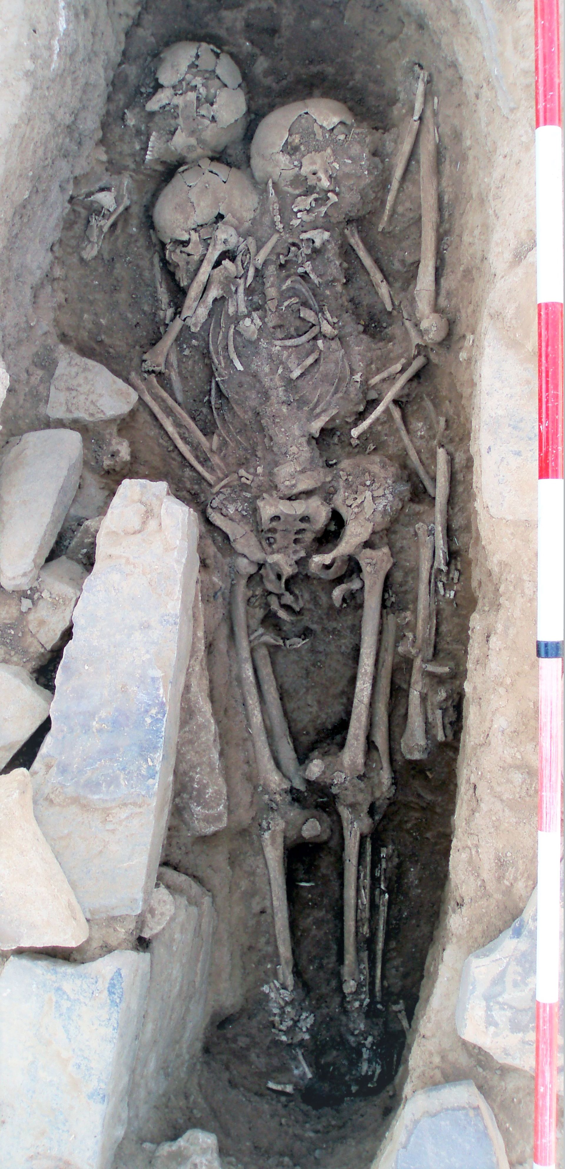 Fig.11. Enterramiento triple, con los dos últimos inhumados superpuestos 