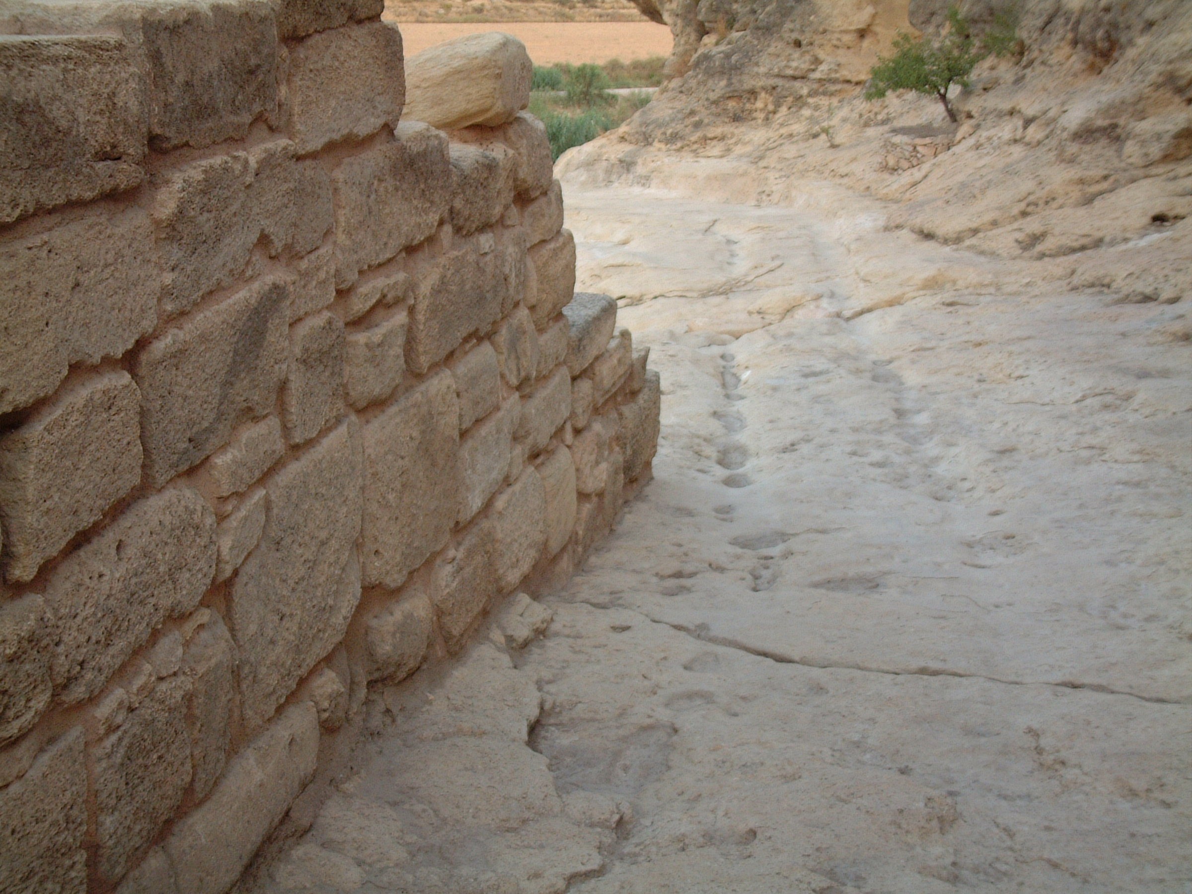 Camino y baluarte visigodo desde la puerta de la ciudad