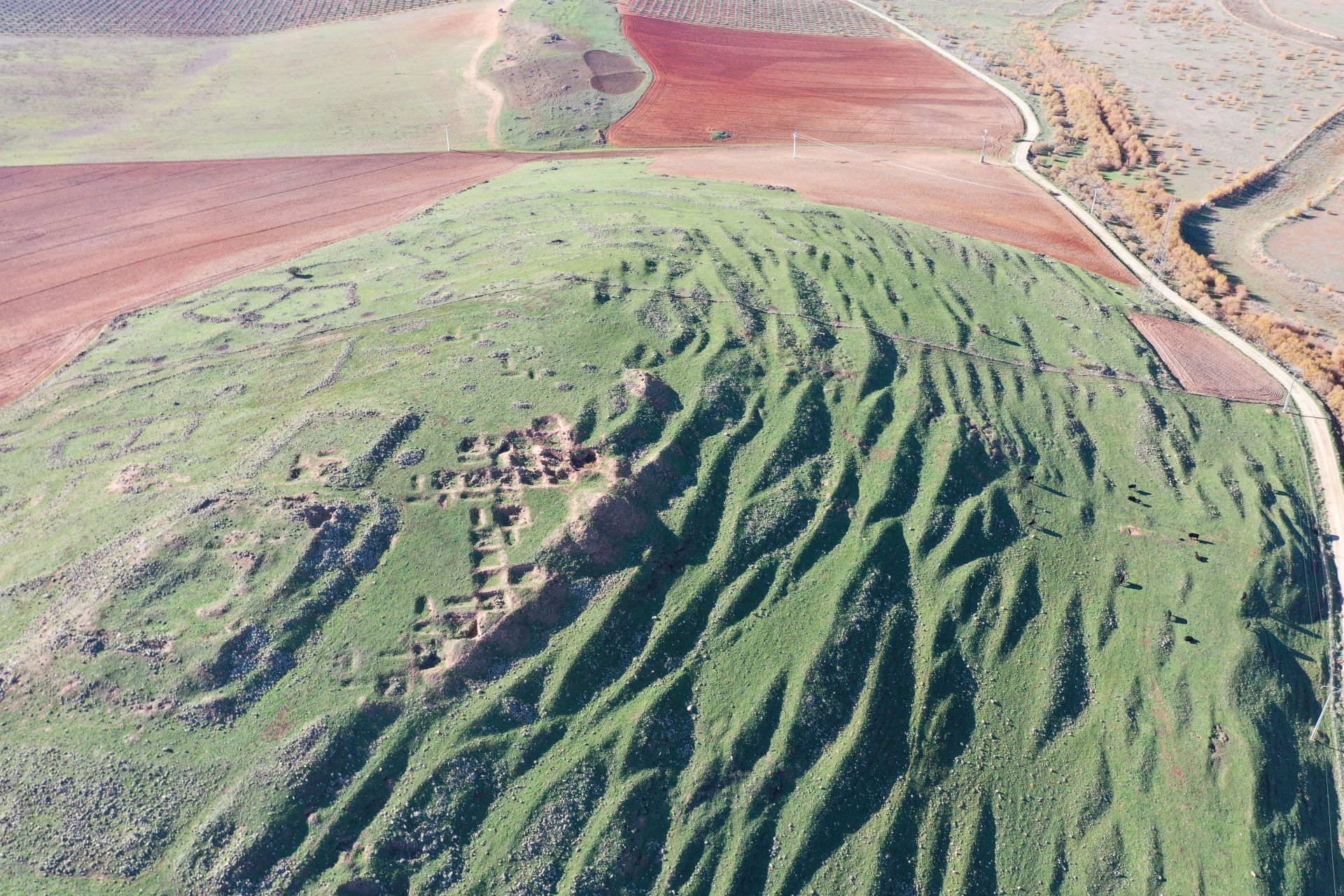 Primeras campañas en Cerro Domínguez. 