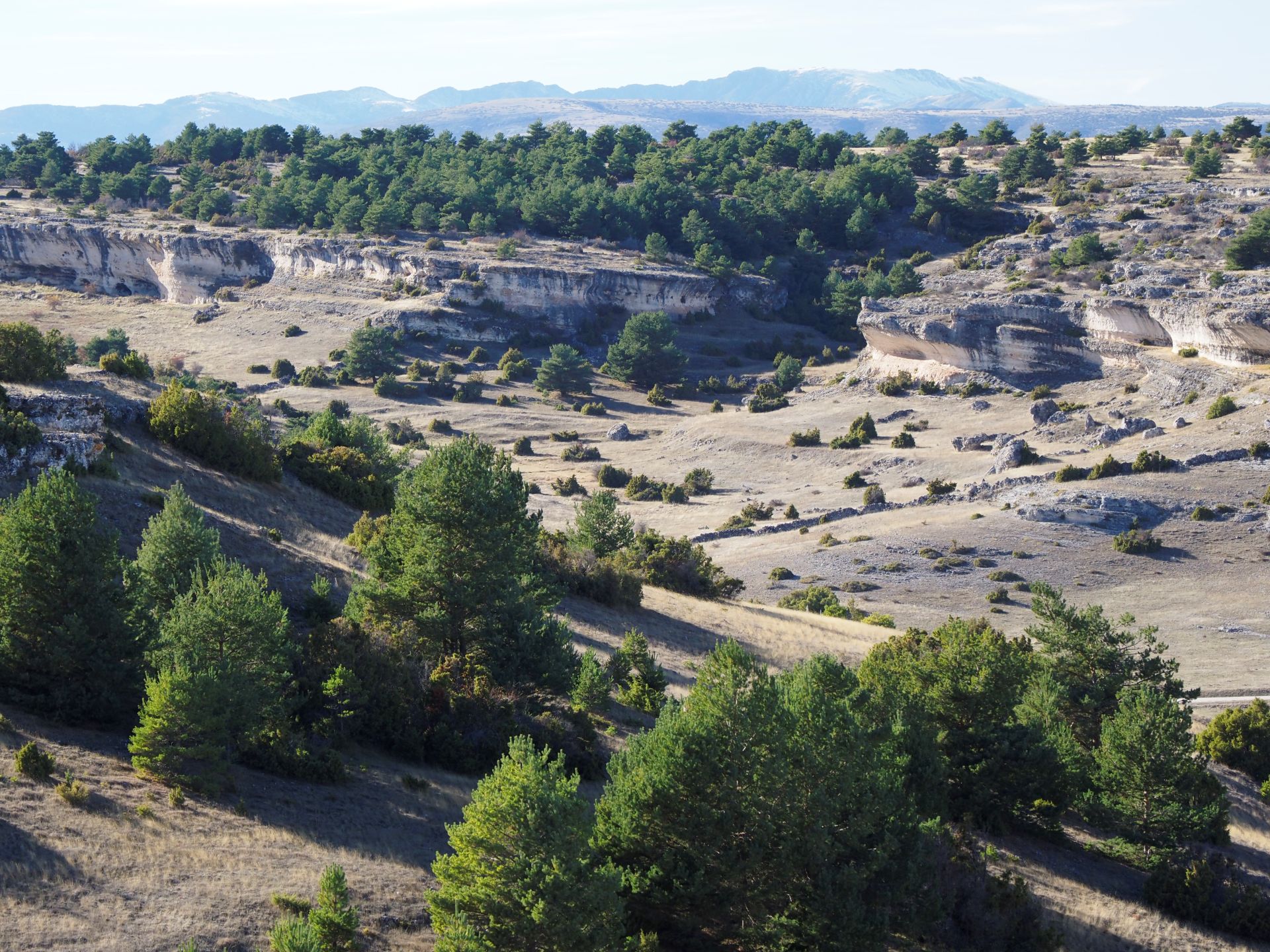 Paisaje característico. 