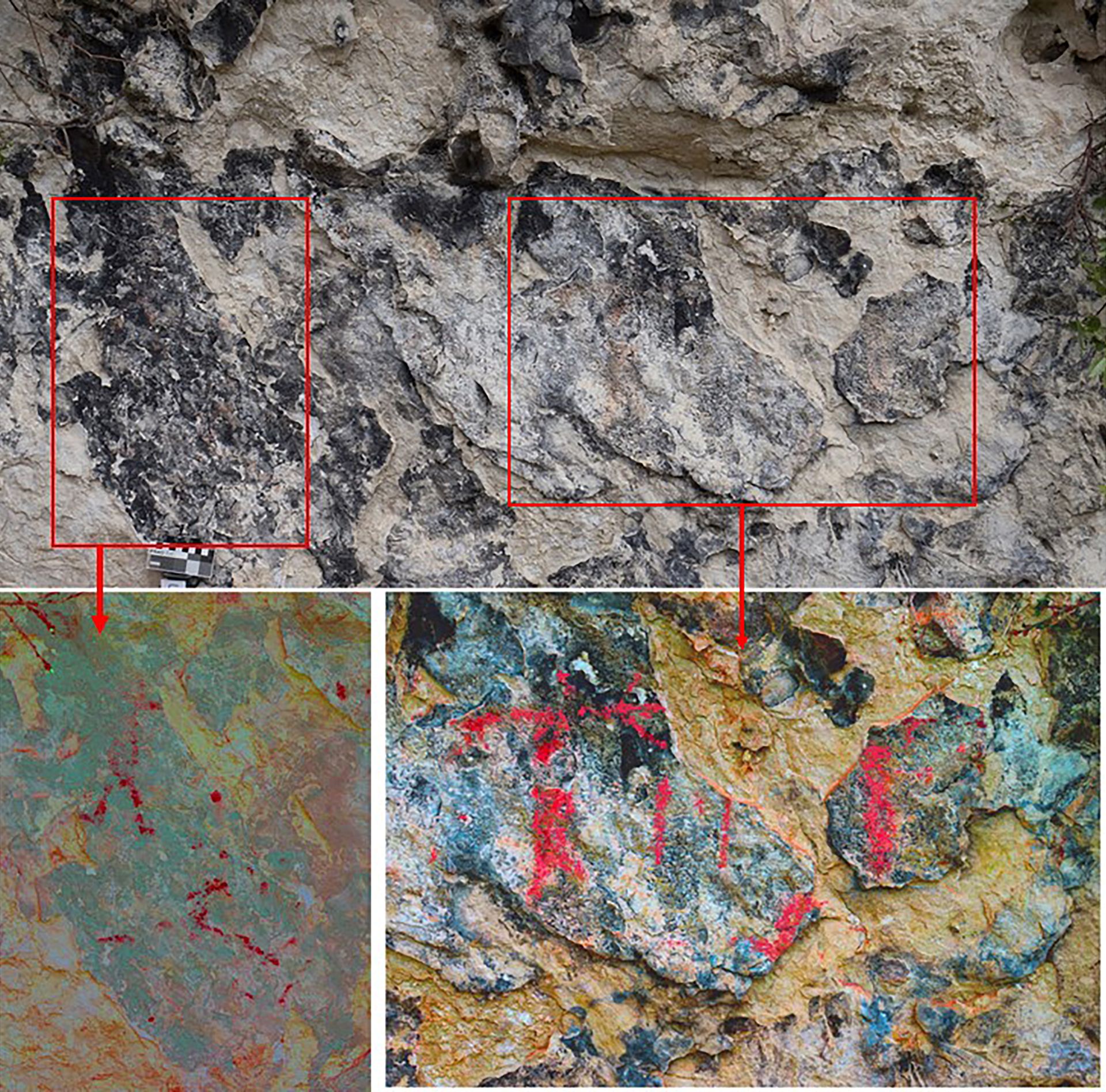 Fig. 9 Panel 5  de Cueva Negra  