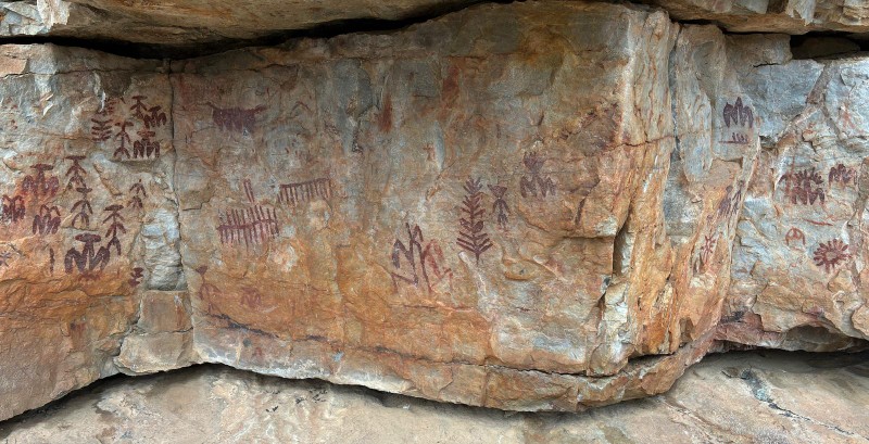 Peña Escrita. Detalle de ramiformes y parejas de antropomorfos. Macarena Fernández