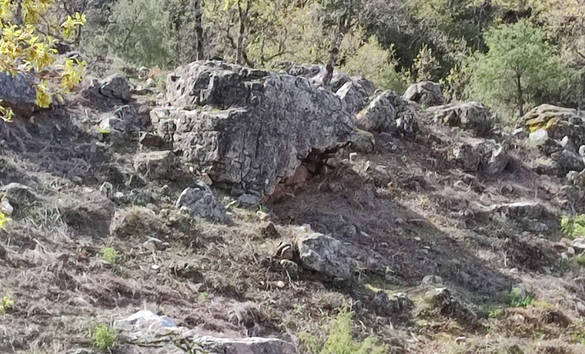 Peñón del arroyo de la Huerta-Navalmanzano. Macarena Fernández
