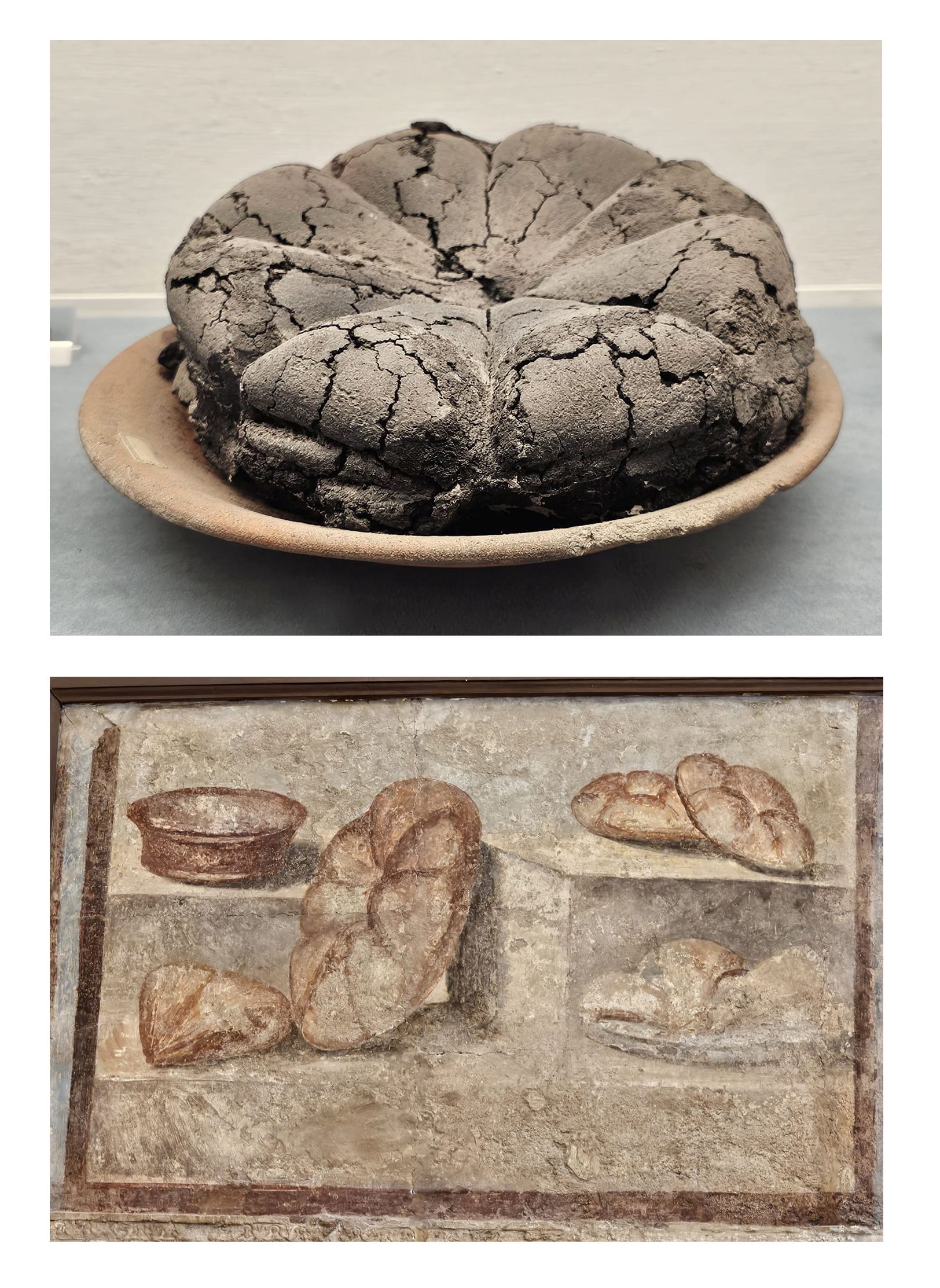 Pan romano (Museo de Boscoreale) y representación pictórica de panes (Museo Arqueológico de Nápoles (Fotos: P. Hevia). 