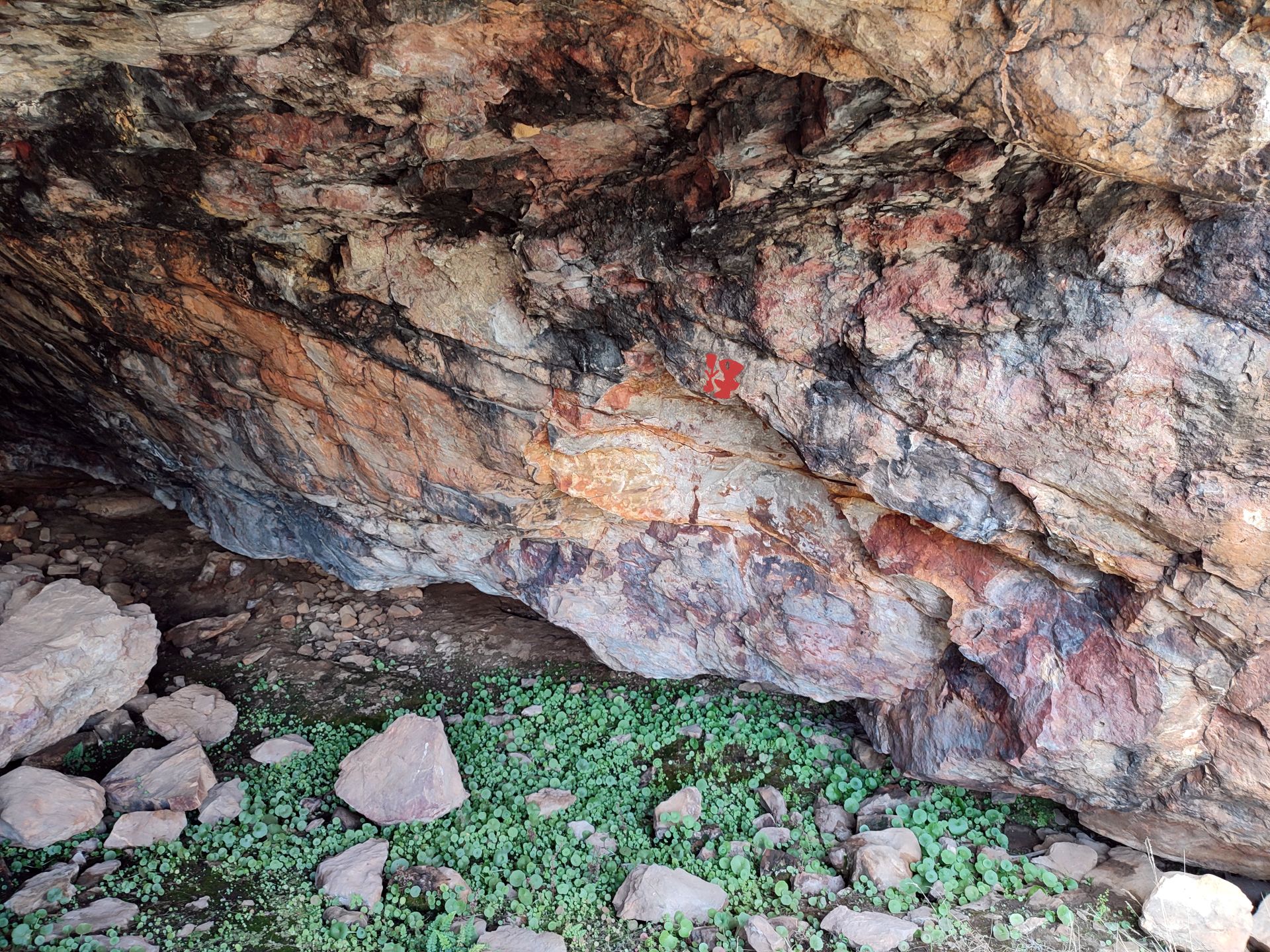 Cueva de Las Sierpes. En la foto se aprecia el lugar de donde H. Breuil extrajo el panel con pinturas. Sobre él aún se conservan dos antropomorfos bitriangulares. Macarena Fernández y F. J. López