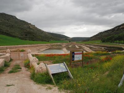 Salinas de Saelices de la Sal