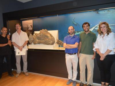 El Museo Paleontológico acoge a Paludidraco, un reptil marino de hace 230 millones de años, localizado en las excavaciones del pantano de El Atance