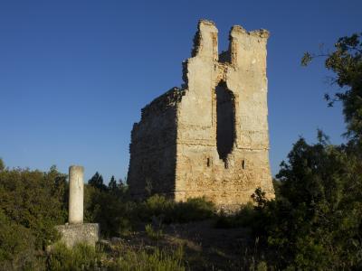 Torre nº 102 Valdegonzado. Imagen cedida por D. Jesús López Requena