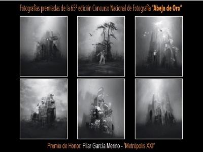 CARTEL EXPOSICIÓN "ABEJA DE ORO" CORTADO
