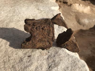 Nuevos descubrimientos en la Cantera C5 de Piédrola (Alcázar de San Juan)  