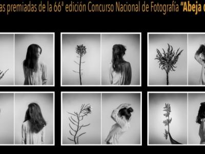 CARTEL EXPOSICIÓN "ABEJA DE ORO" RECORTADO