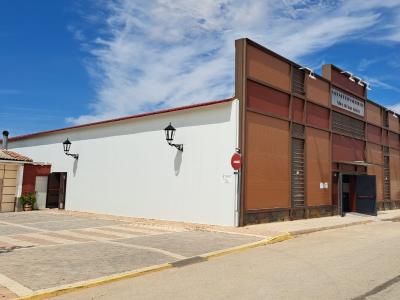 Salón de usos múltiples 'Silos de San Antón', Torrenueva