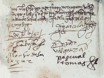Testamento de Garcilaso de la Vega. Firma autógrafa del poeta. 25 de julio de 1529. Archivo Histórico Provincial de Toledo.