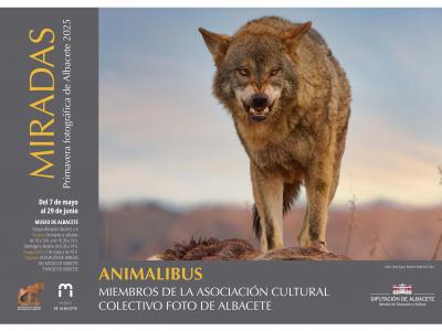 Animalibus