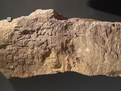 Conferencia 25N Museo