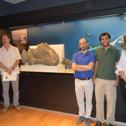 El Museo Paleontológico acoge a Paludidraco, un reptil marino de hace 230 millones de años, localizado en las excavaciones del pantano de El Atance