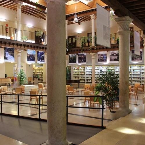 La Biblioteca pública acoge esta tarde la primera conferencia del ciclo “Guadalajara, campo de batalla”