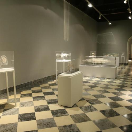 El Gobierno regional ha puesto en marcha 20 exposiciones de arte contemporáneo a lo largo de la legislatura en el Museo de Santa Cruz 