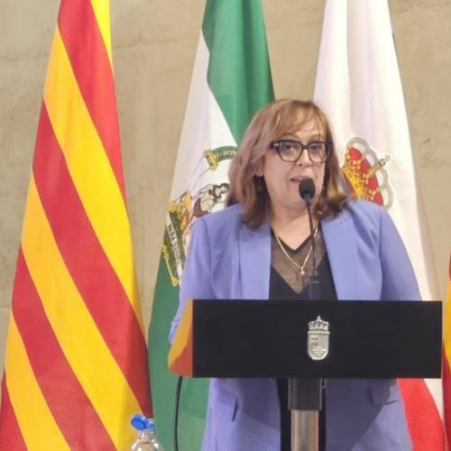 El Gobierno regional lleva a la 95ª reunión del Consejo de Patrimonio Histórico su política en protección, difusión y conservación en esta materia