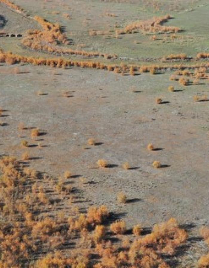 El Área arqueológica de Oreto – Zuqueca