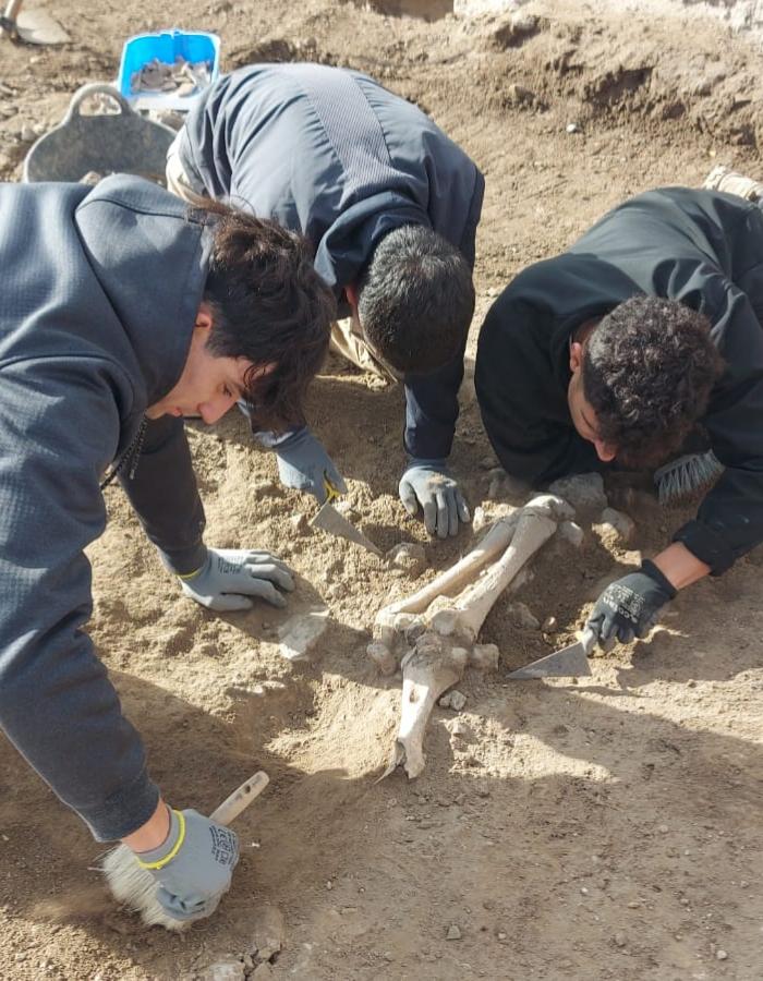 El Camino Viejo de las Sepultura (Balazote, Albacete): un asentamiento rural con una historia milenaria
