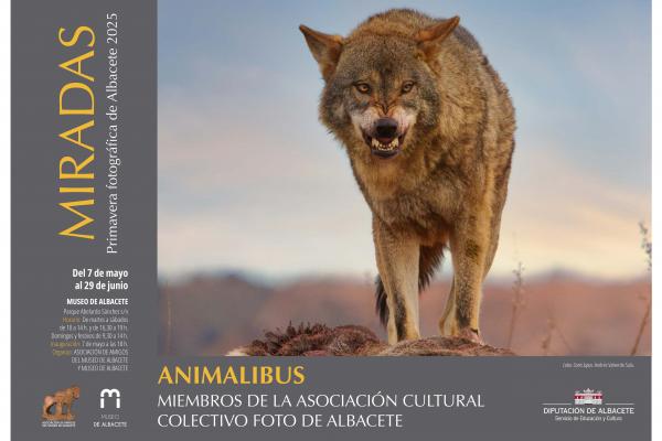 Animalibus