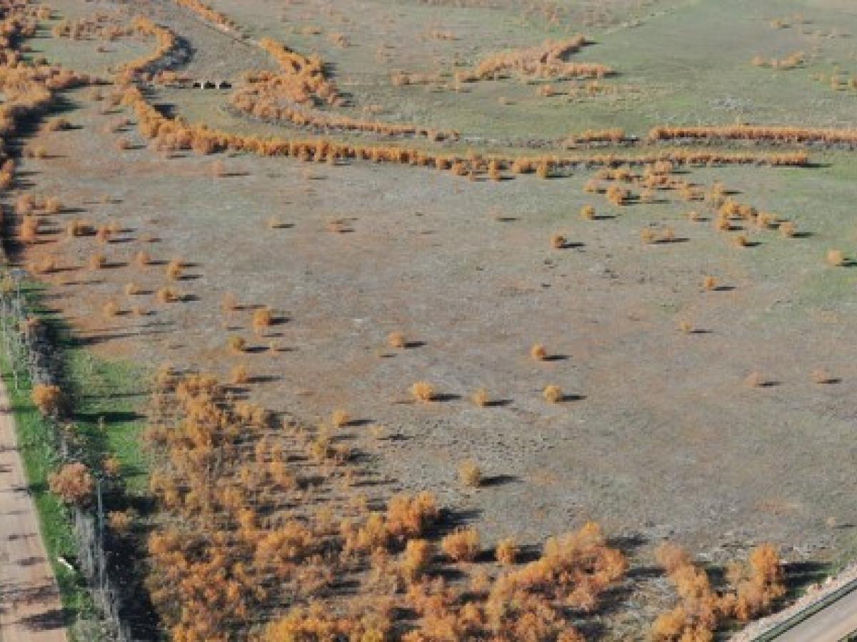 El Área arqueológica de Oreto – Zuqueca