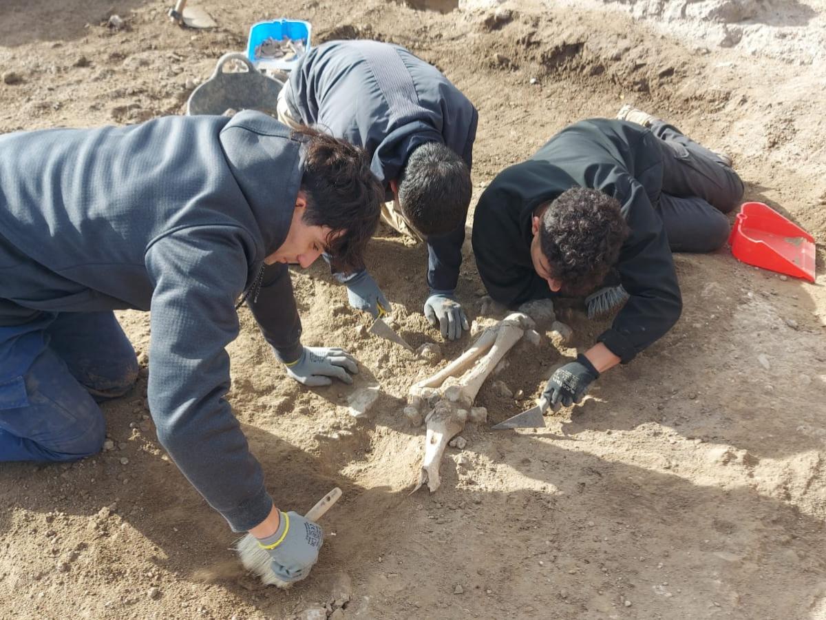 El Camino Viejo de las Sepultura (Balazote, Albacete): un asentamiento rural con una historia milenaria