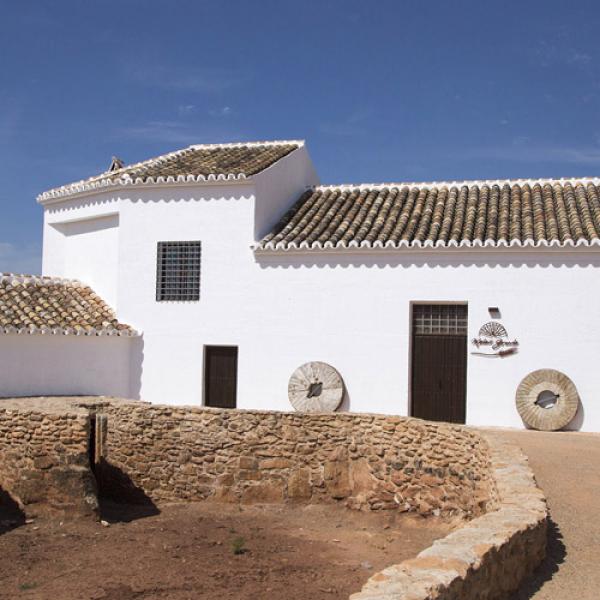 Foto de Molino Grande en Manzanares, Ciudad Real