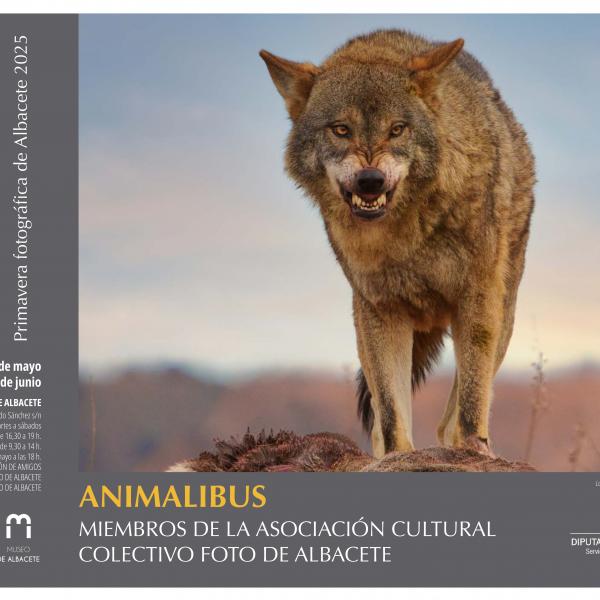 Animalibus